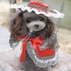 thumbnail image 3 of Halloween Navidad Regalos de Navidad Suministro de decoración Venta caliente Suministros para mascotas Ropa de Navidad para mascotas, 3 of 4