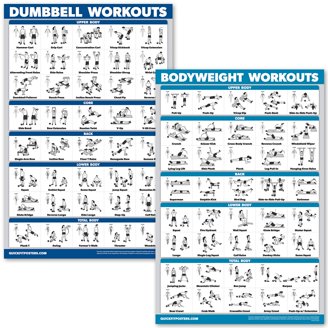 FitMate Resistance Bands Workout Exercise Poster - Workout Routine With Free Weights Home Gym Decor Room Guide 16 5 X 25 Inch