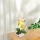 thumbnail image 5 of Flor de seda artificial de doble punta phalaenopsis maceta falsa decoración de paisaje planta artificial planta verde en maceta, 5 of 5