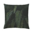 thumbnail image 2 of Ahgly Company Color Focus Green Coussin Décoratif d'Intérieur, 18 Po X 18 Po, 2 of 6