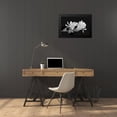 thumbnail image 4 of Schell, Jennie Marie 24x17 Black Modern Framed Museum Art Print Titled - Star Magnolia Flowers Black and White, 4 of 5