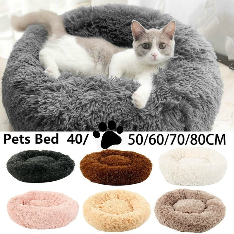 pet planet cat beds