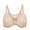 Beige, variant on Women's Posture Front Closure Bras Sheer Mesh Plus Size Underwire Unlined Bra