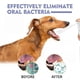 thumbnail image 4 of Pet Oral Spray Teeth Cleaning for Dogs & Cats Bad Breath Tartar Plaque Removal, 4 of 5
