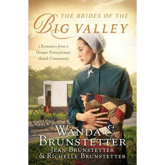 Pre-Owned The Brides of the Big Valley: 3 Romances from a Unique Pennsylvania Amish Community (Paperback) 1683228863 9781683228868