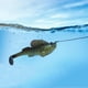 thumbnail image 2 of Jumping Fish 4cm 14g Señuelos Simulación Artificial Cebo de pesca suave (2), 2 of 5