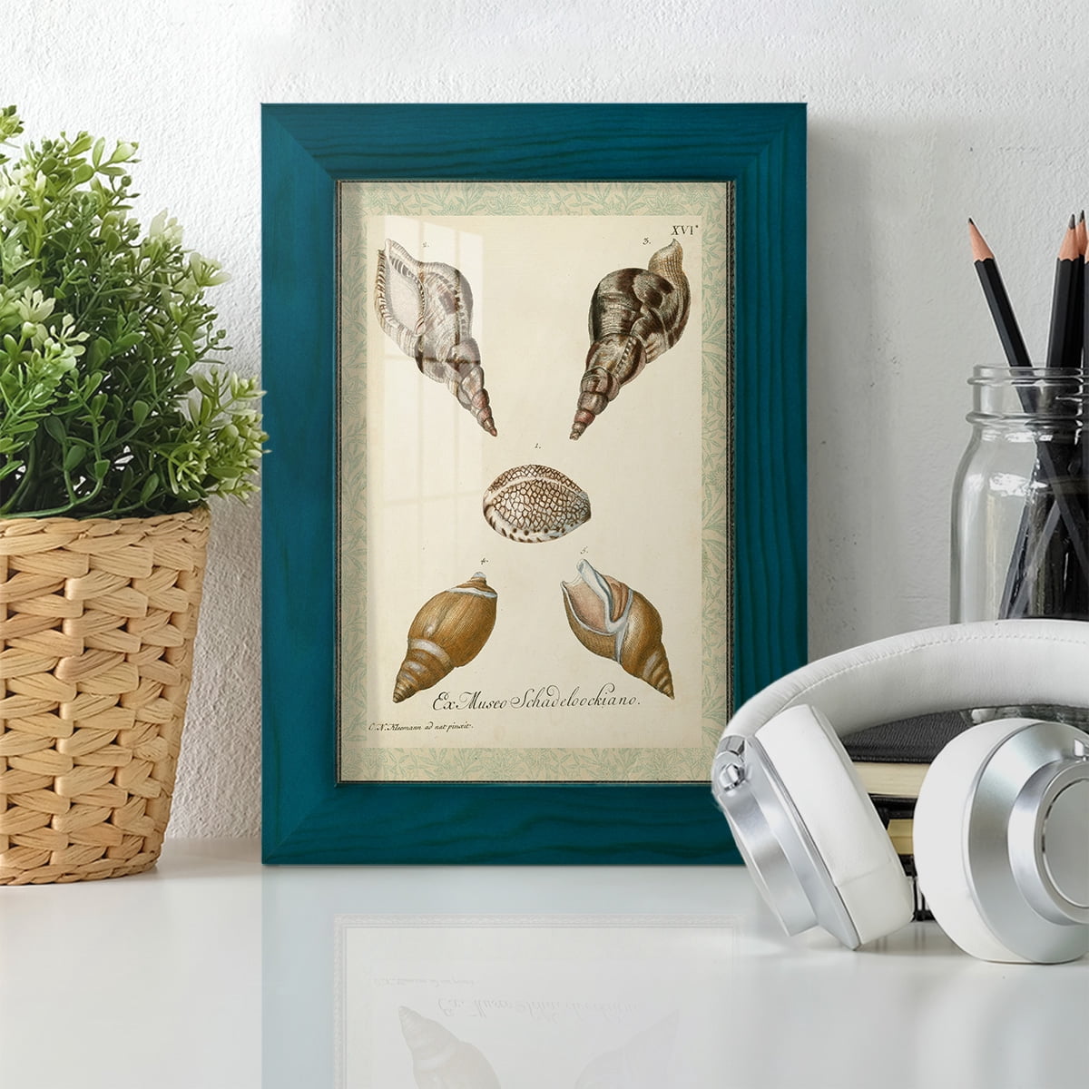 Bookplate Shells VIII - Framed Print w/glass - Ocean Blue