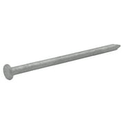 Grip-Rite #10-1/4 x 2-1/2 In. 8-Penny Hot-Galvanized Steel Common Nails 1Lb.