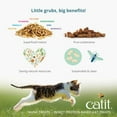 thumbnail image 2 of Catit Nuna Insect Protein & Chicken Cat Treats 60g, 2 of 10