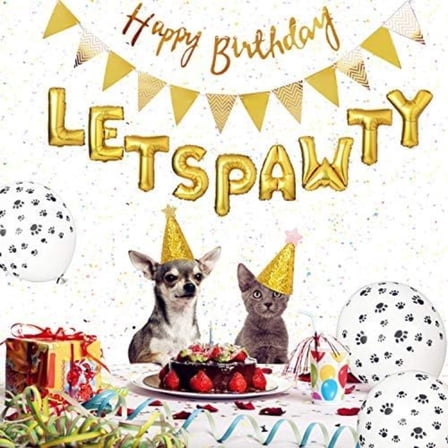 Pet Themed Birthday Decor Kit, Golden Paw Balloons, Cat Birthday Hat, Happy Birthday Banner & Foil Letters with Filling Pump Included