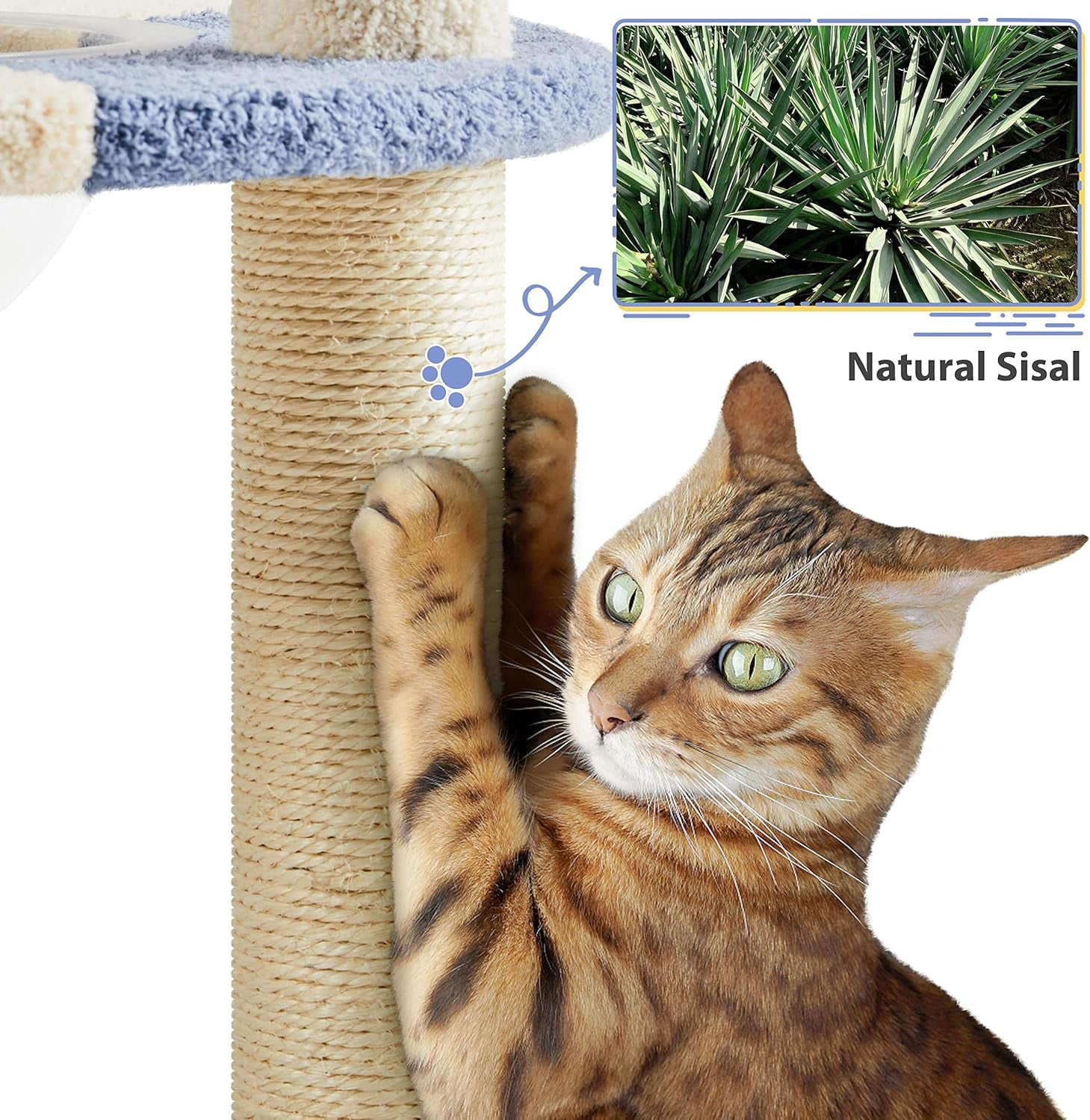 LEHOME Cat Scratching Posts with Cat Bed, 35in Cat Scratcher with 2 Scratching Posts for Indoor Cats, Sisal Scratch Posts with Replaceable Ball for Kittens Adults Cats