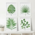 thumbnail image 2 of PixonSign Framed Wall Art Tropical Green Monstera Fan Leaf Poater, Set of 4 Nature Wilderness Wall Decor Prints, Botanical Floral Wall Décor, Rustic Classic Countryside Artwork - 12"x16" White, 2 of 5