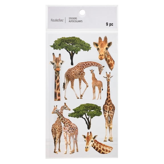 Recollections Giraffe Stickers, 12 Pack