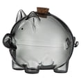 thumbnail image 2 of simhoa Borosilicate Glass Money Saving Container Sturdy Multifunctional 1cm Opening Black, 2 of 8