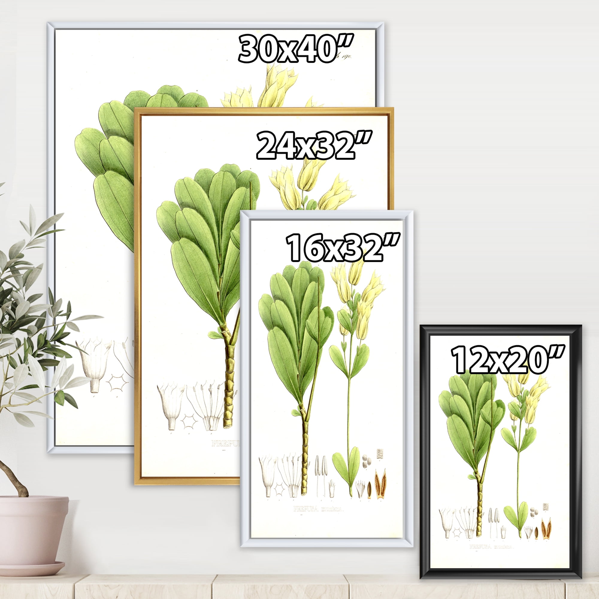 Designart 'Ancient Brazilian Plant III' Traditional Framed Canvas Wall Art Print