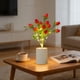 thumbnail image 5 of Lámpara de Noche Qazbgdl con Forma de Fruta Simulada | Lámpara de Noche Led con Maceta | Decoración Creativa para Dormitorio y Escritorio | 1 Pieza, 5 of 6