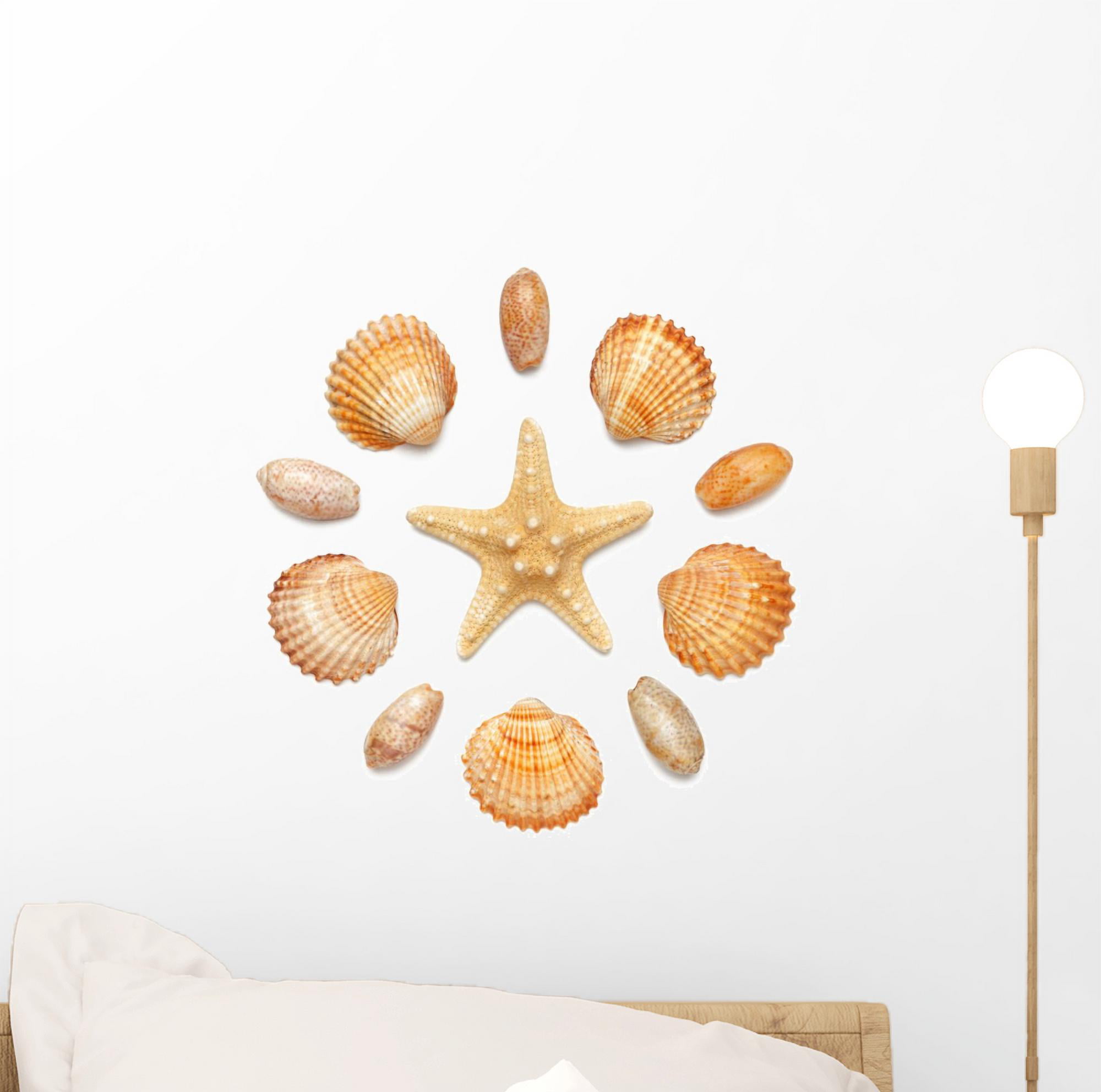 6 Wall Art Self Stick Adhesive Decals Conch Sea Shells Starfish Decor Accents 