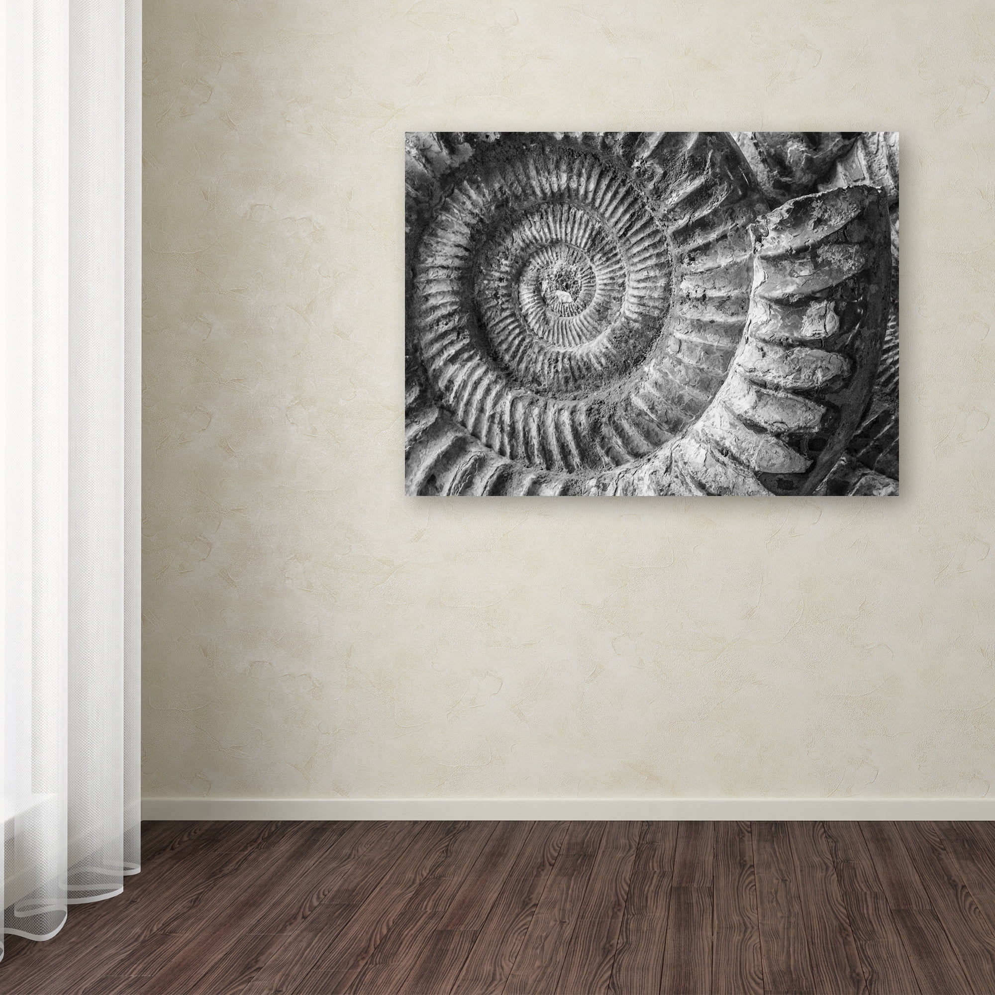 Trademark Fine Art "Amonita 1" Canvas Art by Moises Levy