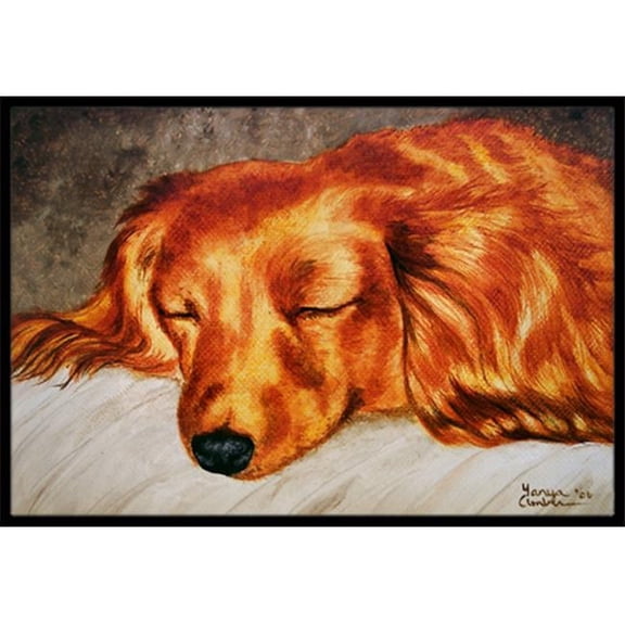 Red Longhaired Dachshund Indoor or Outdoor Mat, 24 x 36