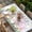 White Light Purple, variant on Spring Easter Table Cloths for 5 Foot Rectangle Tables, Watercolor Pink Yellow Bunny Tulip Eggs Plaid Patio Waterproof Elastic Fitted Tablecloths, Washable Rectangular Table Cover for Camping