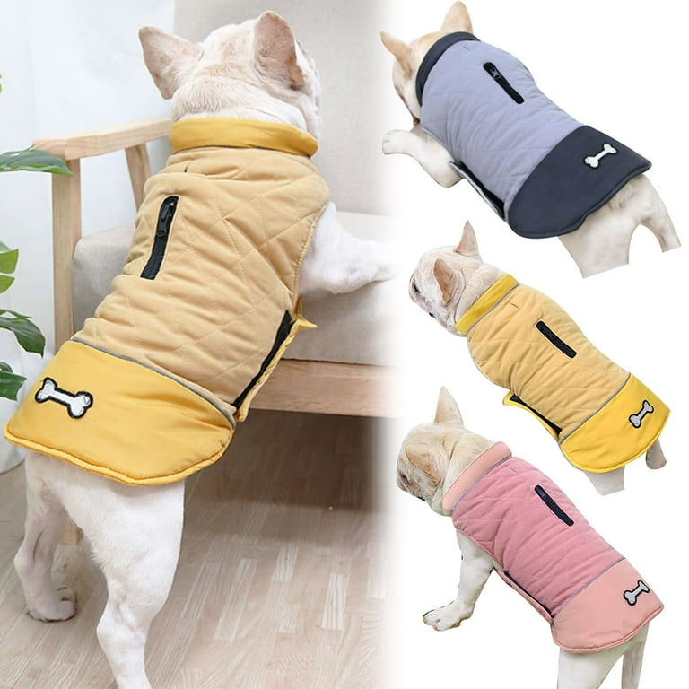 Walmart pet coats store
