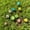 Multicolor, variant on Luminous Mini Mushroom Ornament Set Glow in Dark Resin Garden Decor Potted Plants Terrarium DIY Landscaping Micro Landscape Decoration Figurines Home Craft Supplies Gift Set