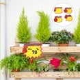 thumbnail image 5 of 200Pcs Price Labels Signs Retail Price Signs Paper Price Tags Sales-promotion Cards Advertising Labels, 5 of 5