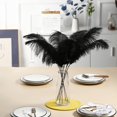 thumbnail image 2 of Kit para hacer plumas Ballinger Black Avestruz, 10 unidades, 70 cm, 2 of 7