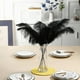 thumbnail image 2 of Kit para hacer plumas Ballinger Black Avestruz, 10 unidades, 70 cm, 2 of 7