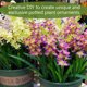 thumbnail image 3 of 6 piezas planta de simulación dos jacintos flores artificiales decoración creativa suministros accesorios flores plantas verdes artificiales, 3 of 5