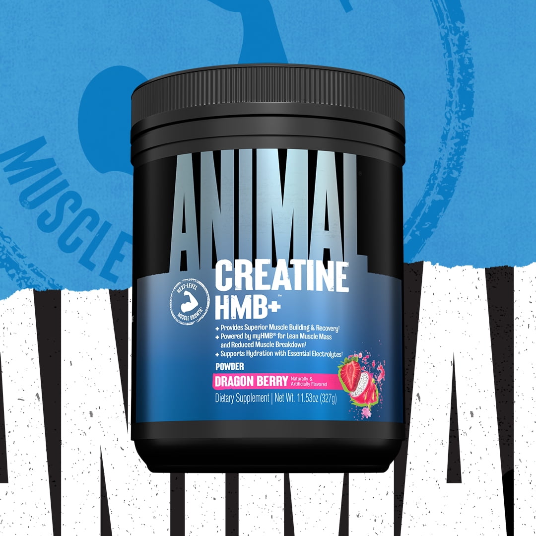 Animal Creatine HMB Powder – 5g Creatine + 3g myHMB with Electrolytes for Lean Muscle, Recovery & Daily Energy – Dragon Berry Flavor, 30 Servings