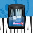 thumbnail image 4 of Animal Creatine HMB Powder – 5g Creatine + 3g myHMB with Electrolytes for Lean Muscle, Recovery & Daily Energy – Dragon Berry Flavor, 30 Servings, 4 of 6