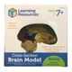thumbnail image 1 of Modelo Codificado Del Cerebro Humano Por Colores / Brain Learning Resources Modelo Codificado Del Cerebro Humano Por Colores, 1 of 2
