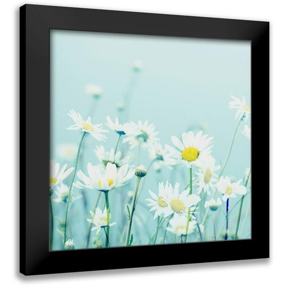 Dickinson, Robin 12x12 Black Modern Framed Museum Art Print Titled - Day Daisies
