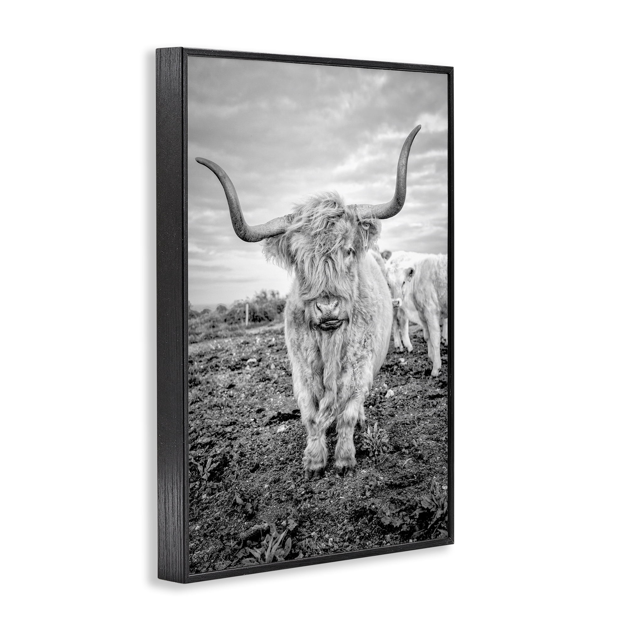 Stupell Industries Longhorn Calf Family Animals & Insects Photography Black Framed Art Print Wall Art, 20 x 30