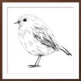 thumbnail image 2 of Art.com Hand-Drawn Robin Art Print by aggressor, Brown Frame Wall Art, 29" x 29", 2 of 5