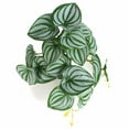 thumbnail image 2 of YAOMOBB Fake Leaves Realistic Simulation Plant Artificial Monstera Leaves for Wedding Decoration, 2 of 6