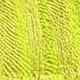 thumbnail image 5 of 10Pcs Microfibre Pads for Steam Twister Steam Cleaner - Suitable for All Floors and Surfaces, 5 of 5