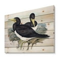 thumbnail image 2 of Designart 'Ancient Australian Birds XII' Traditional Print on Natural Pine Wood, 2 of 5