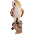 thumbnail image 4 of Statue Réaliste de Barn Owl Perchée sur Souche d'Arbre avec Yeux en Verre 13,75 Po H, 4 of 4