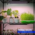 thumbnail image 2 of 1ft Grow Lights for Indoor Plants Full Spectrum, LED Grow Lamp with Black Cover, T5 Grow Light Strip, Under Cabinet Grow Light with Switch Cord, Plug and Play, Linkable, Pinkish White, 4 Packs, 2 of 18