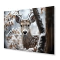 thumbnail image 2 of Designart "Monochrome Photography Winter Deer painting I" Animals Metal Art Print, 2 of 5