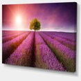 thumbnail image 2 of Purple Sky over Stunning Lavender Field - Floral Canvas Art Print, 2 of 3