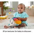 thumbnail image 4 of Fisher-Price Cuddle n' Snuggle Hedgehog Newborn Plush Sensory Toy with Sensory Details for Babies, 4 of 6