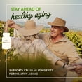 thumbnail image 3 of Swanson Resveratrol 250 250 Milligrams 30 Capsules, 3 of 8