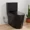 Black, variant on 1.1/1.28 GPF Dual-Flush Elongated One-Piece Toilet in Black, Water Sense Certified, Comfort Chair Height with Antimicrobial Glazed Surface (Seat Included)