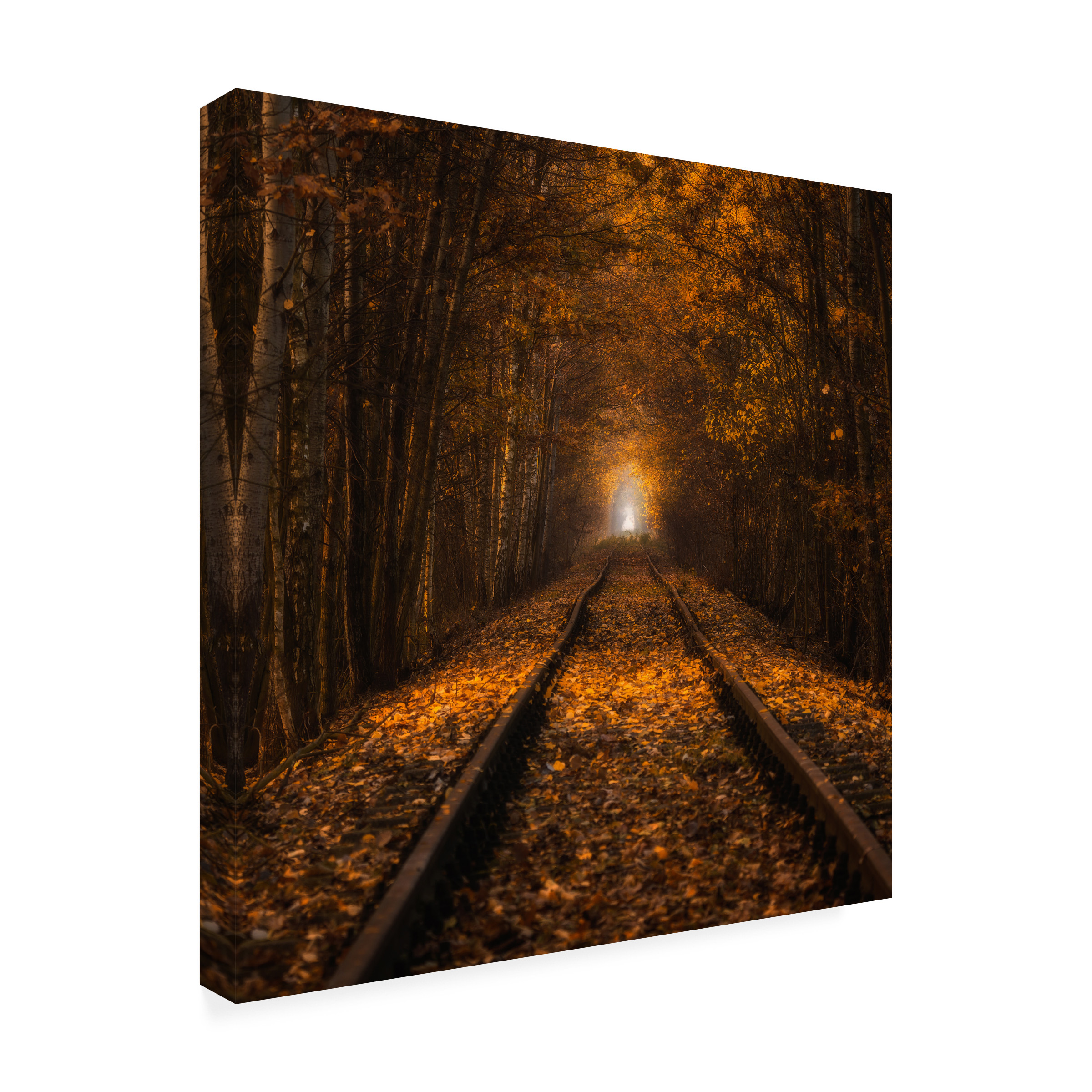 Pawel Uchorczak 'Autumn Tunnel' Canvas Art