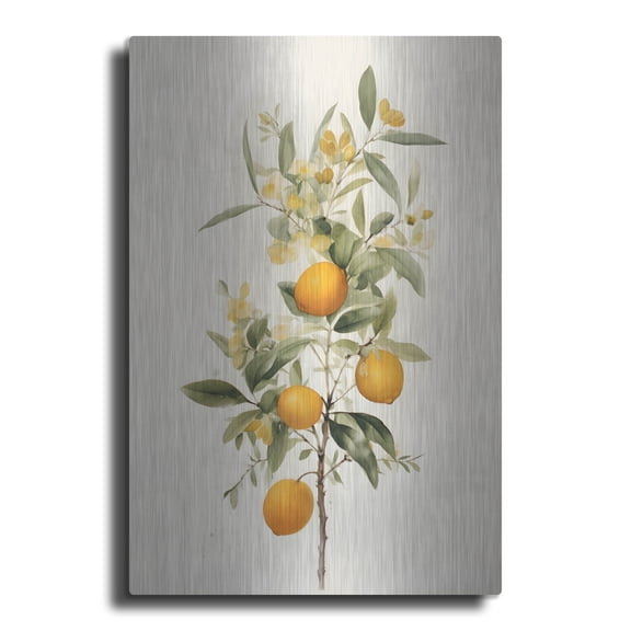 Luxe Metal Art 'Botanical Fruit 3' by Petals Prints Design, Metal Wall Art, 12"x16"