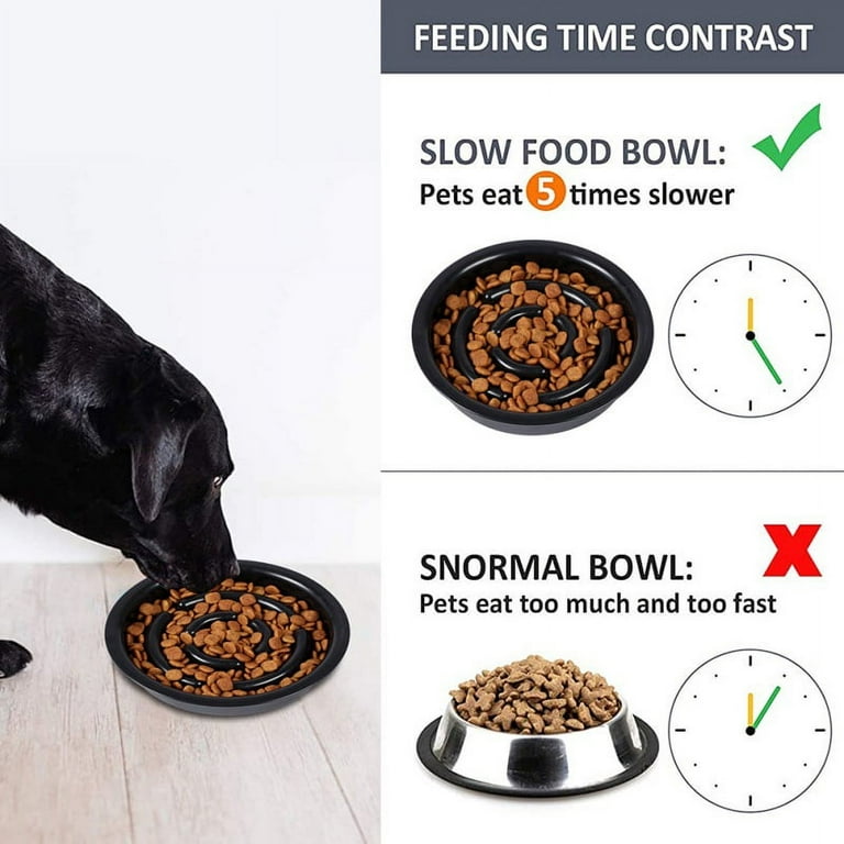 BNOSDM Slow Feeder Dog Bowls Double Puppy Slow Feeder No Spill Non-Skid  Silicone Mat Dry Food Slow Eating Bowl Removable Stainless Steel Pet Bowls  for