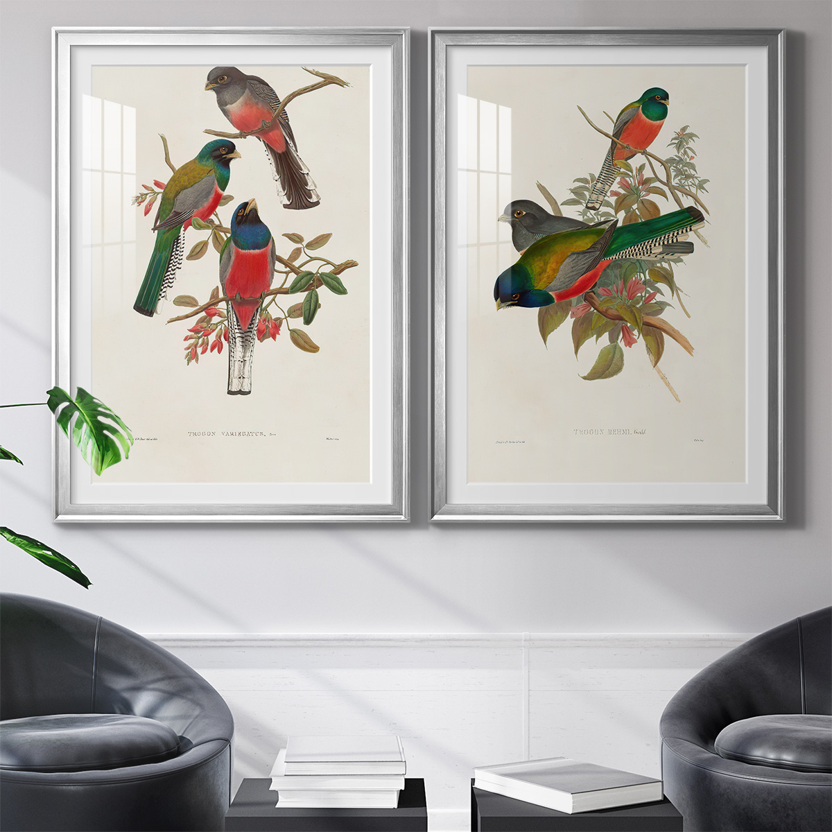 Wexford Home Elegant Trogons IX Premium Framed Print, 30.5" x 42.5" - Ready to Hang, Silver (Set of 2)